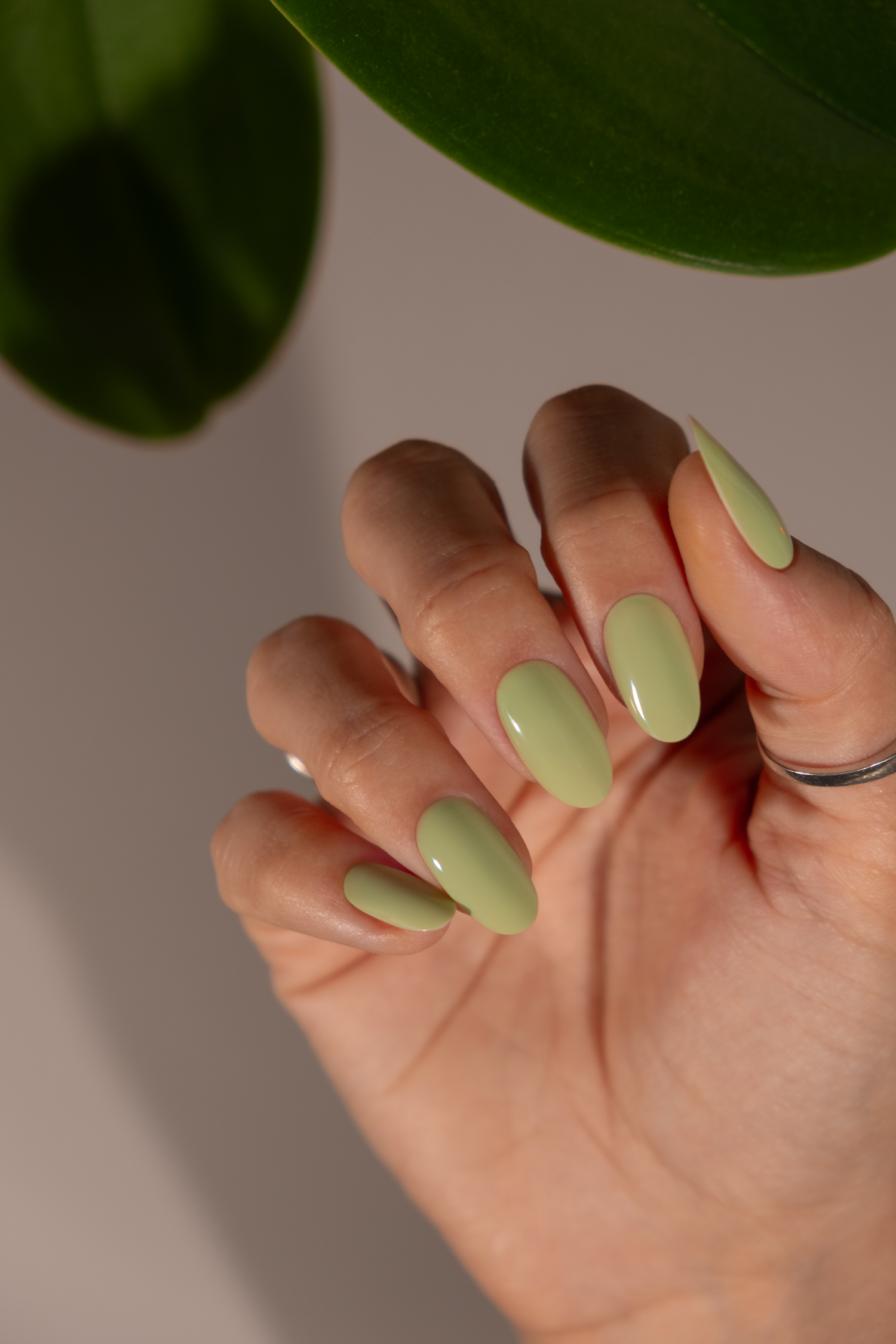 MEADOW - TPO-Free & HEMA-Free