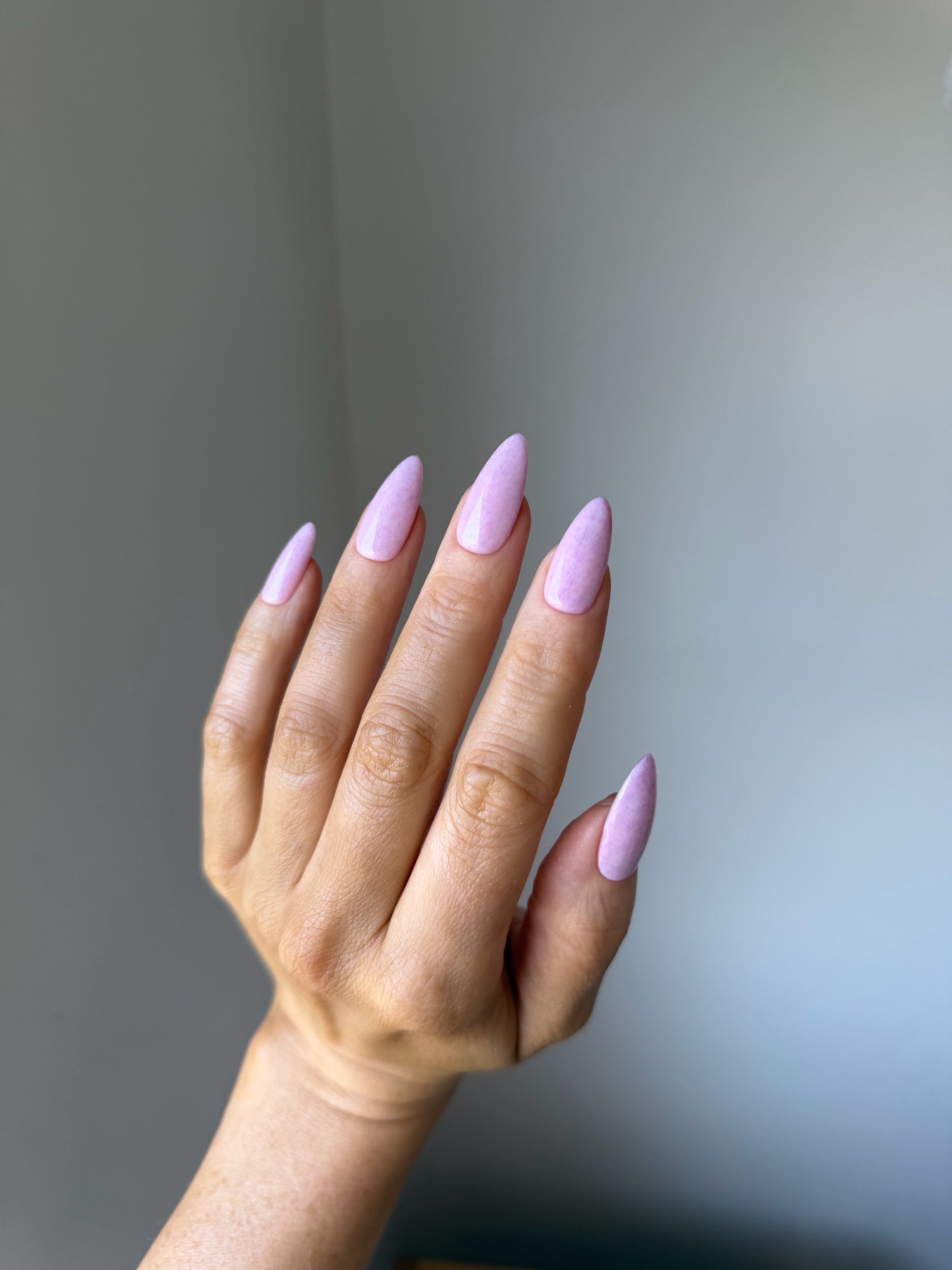 THISTLE (C569) -DISCONTINUED