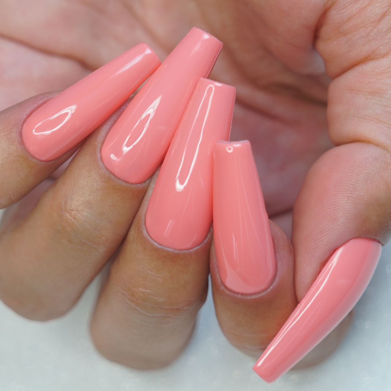 CARIBBEAN CORAL
