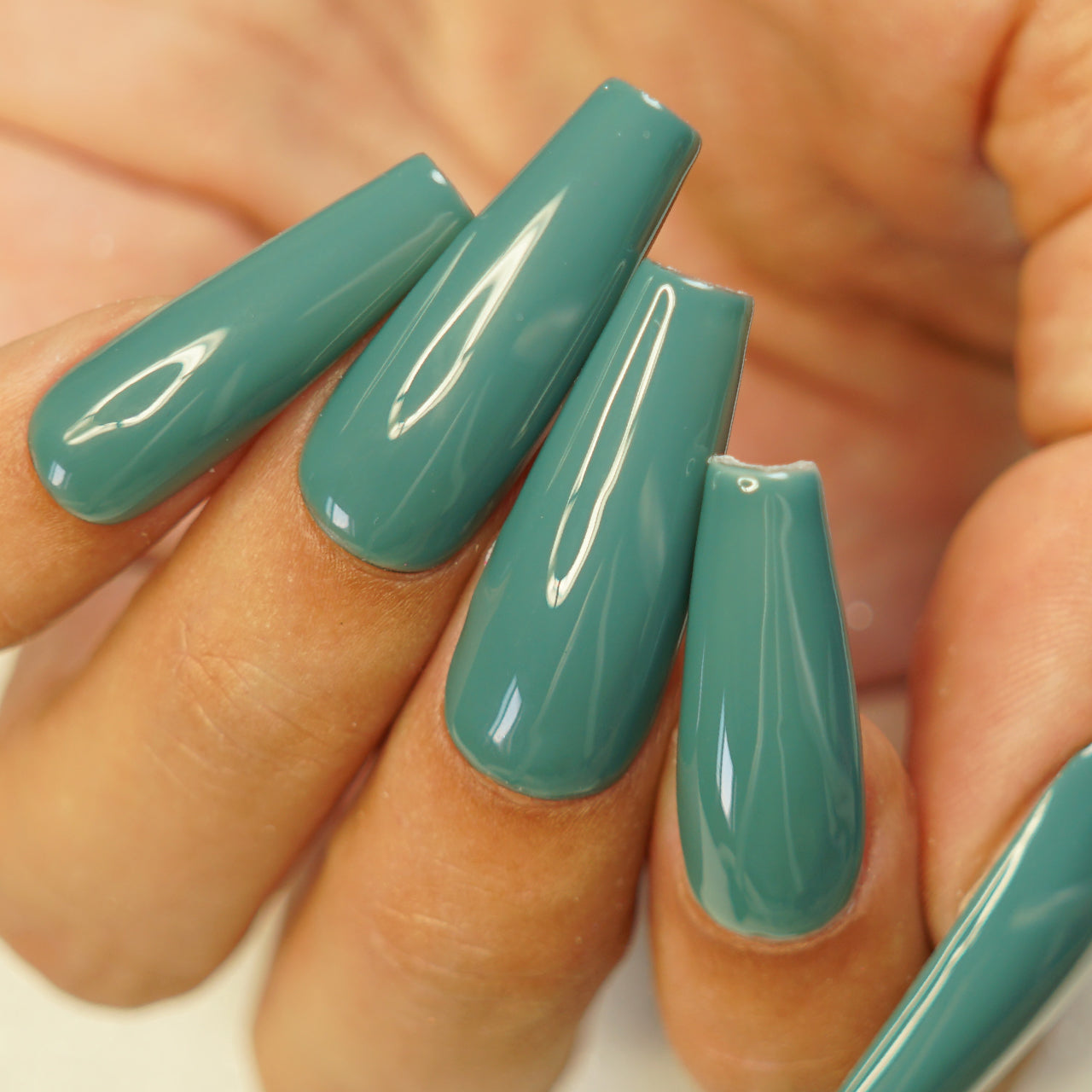 KENTUCKY GREEN