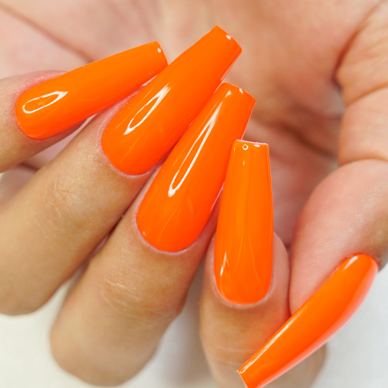 KOI