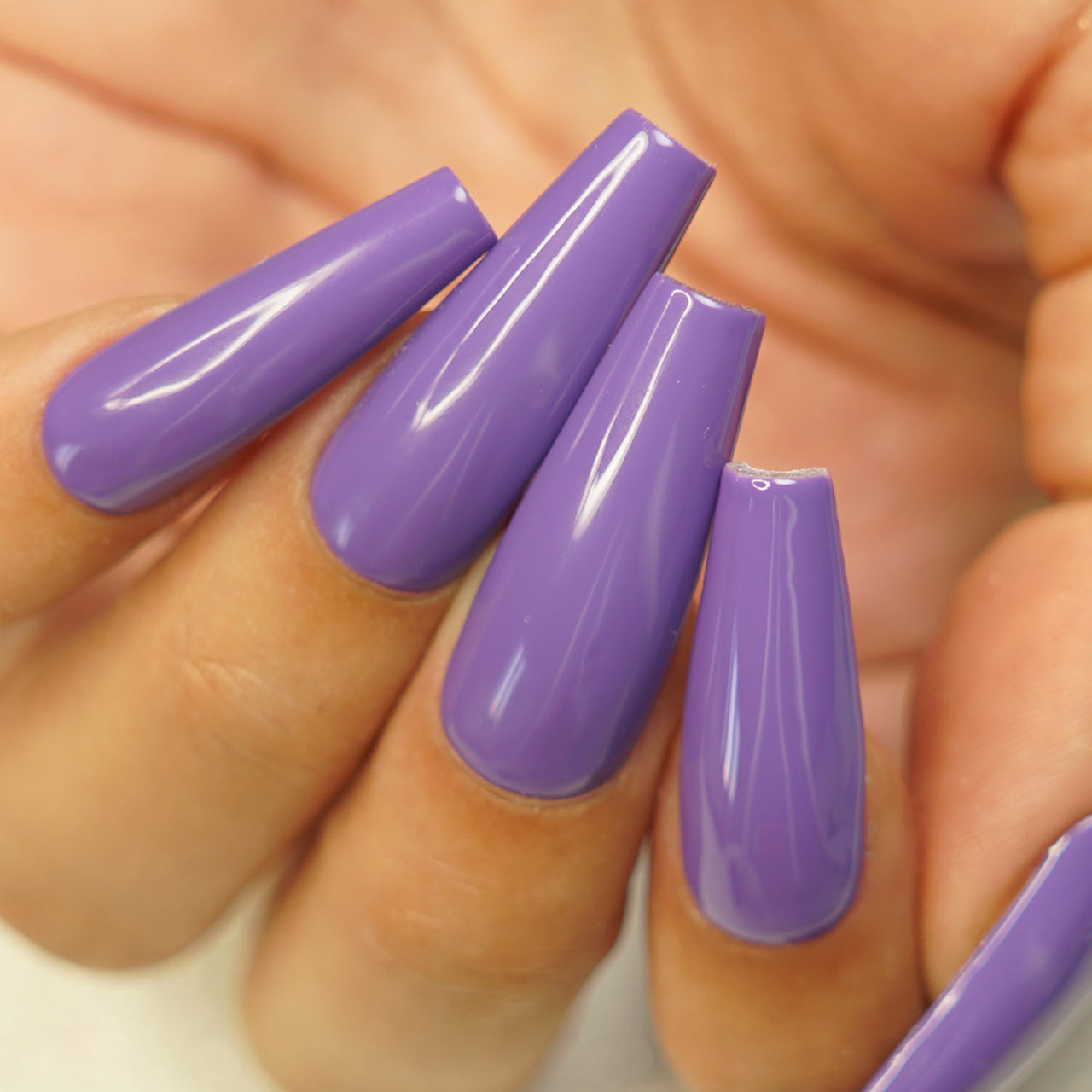 LILAC LOVE