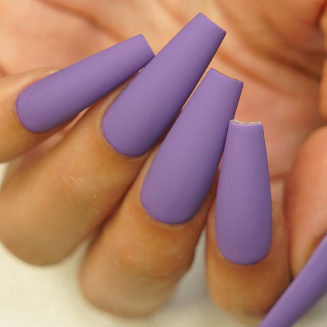 LILAC LOVE